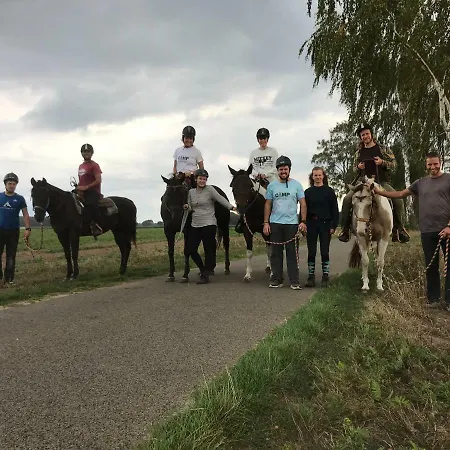 Ferienwohnung - Westernhorse Academy